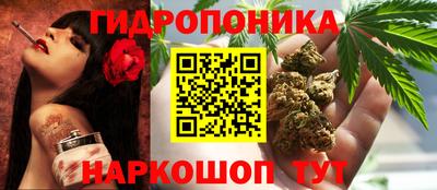 гашик Гусиноозёрск